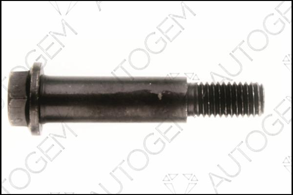 AUTOGEM EMS24 - Bolt, exhaust system car-mod.net