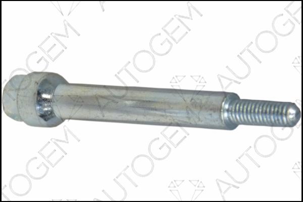 AUTOGEM EMS785 - Bolt, exhaust system car-mod.net