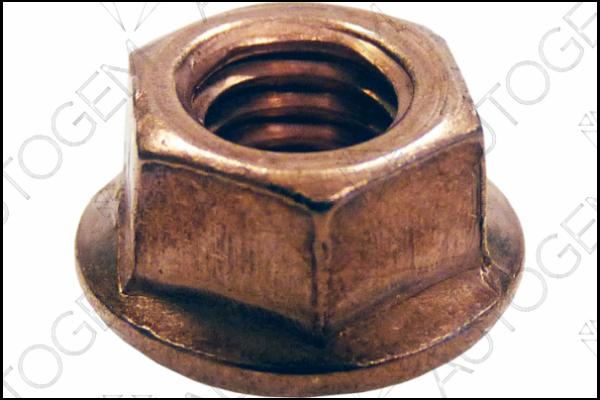 AUTOGEM FN05CU - Nut, exhaust manifold car-mod.net