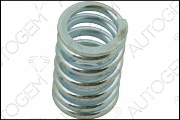 AUTOGEM SC85 - Spring, silencer car-mod.net