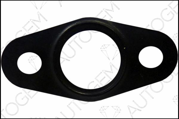 AUTOGEM TBG947 - Seal, oil outlet (charger) car-mod.net