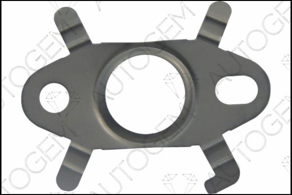 AUTOGEM TBG708 - Seal, oil outlet (charger) car-mod.net