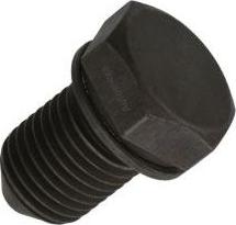 Automega 130016310 - Sealing Plug, oil sump car-mod.net