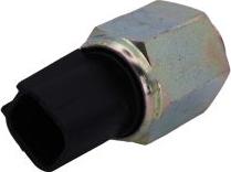 Automega 274692110 - Reverse light Switch car-mod.net