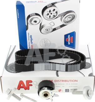 Automotor France PTK7028 - Timing Belt Set car-mod.net