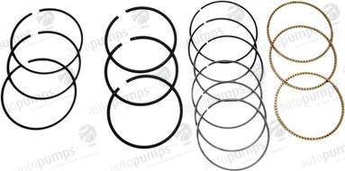 Autopumps UK A9004 - Piston Ring Kit car-mod.net