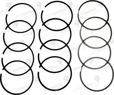 Autopumps UK A9030 - Piston Ring Kit car-mod.net