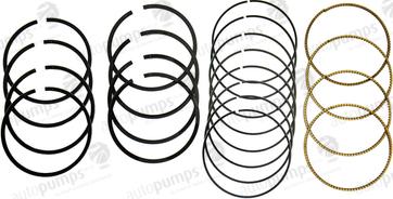 Autopumps UK A5097 - Piston Ring Kit car-mod.net