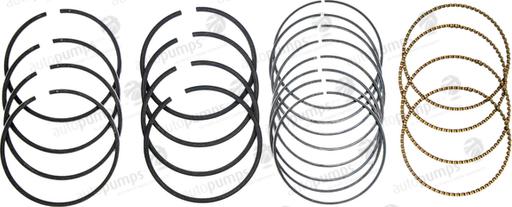 Autopumps UK A5365 - Piston Ring Kit car-mod.net