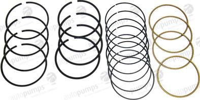 Autopumps UK A5368 - Piston Ring Kit car-mod.net