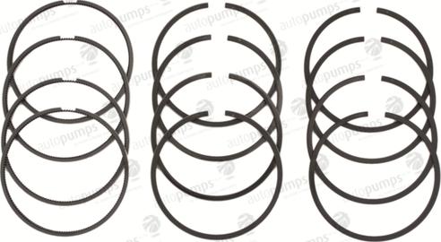 Autopumps UK A2049 - Piston Ring Kit car-mod.net