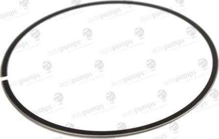 Autopumps UK A2045 - Piston Ring Kit car-mod.net