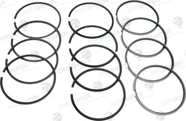 Autopumps UK A2040 - Piston Ring Kit car-mod.net