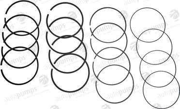 Autopumps UK A2041 - Piston Ring Kit car-mod.net