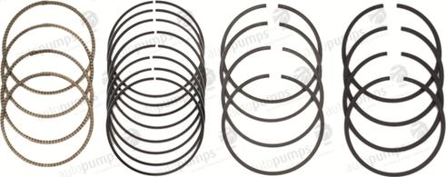 Autopumps UK A2050 - Piston Ring Kit car-mod.net