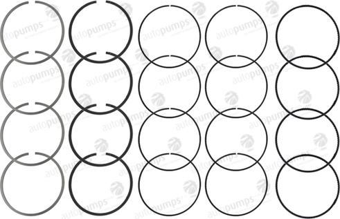 Autopumps UK A2038 - Piston Ring Kit car-mod.net