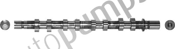 Autopumps UK AC1961 - Camshaft car-mod.net