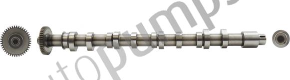 Autopumps UK AC2621 - Camshaft car-mod.net