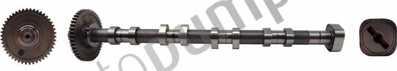 Autopumps UK AC2131 - Camshaft car-mod.net