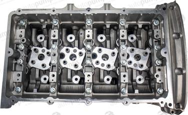 Autopumps UK ACHF8963 - Cylinder Head car-mod.net