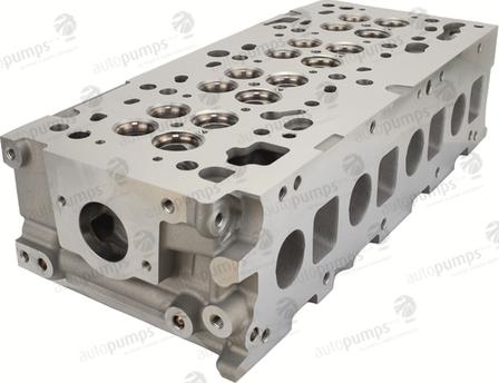 Autopumps UK ACHW8950 - Cylinder Head car-mod.net
