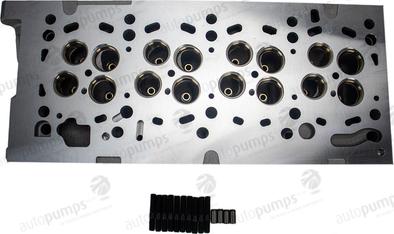 Autopumps UK ACHW8960 - Cylinder Head car-mod.net