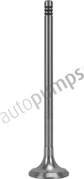 Autopumps UK AEV9604 - Outlet valve car-mod.net