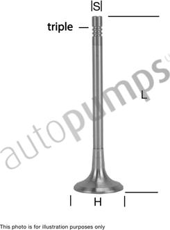 Autopumps UK AEV9467 - Outlet valve car-mod.net