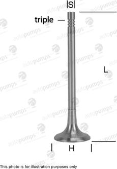 Autopumps UK AEV11054 - Outlet valve car-mod.net
