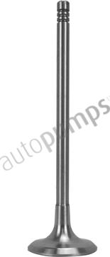 Autopumps UK AIV9603 - Inlet Valve car-mod.net