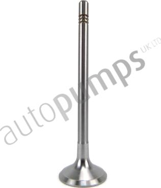Autopumps UK AIV11005 - Inlet Valve car-mod.net
