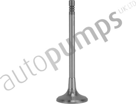 Autopumps UK AIV11001 - Inlet Valve car-mod.net