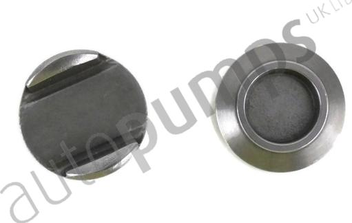 Autopumps UK ATP191 - Thrust Piece, inlet / outlet valve car-mod.net