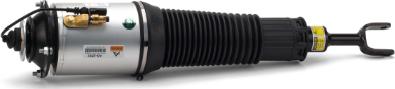 AUTO-SPEED PARTS 1160AS2892 - Air Spring Strut car-mod.net