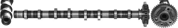 A.Z. Meisterteile AZMT-30-053-2023 - Camshaft car-mod.net