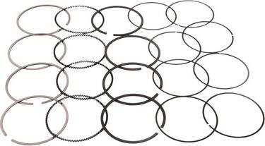 BAPMIC BF0424480005 - Piston Ring Kit car-mod.net