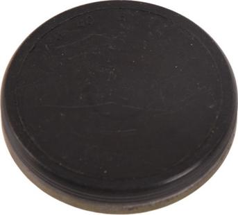 BAPMIC BF0425600001 - Locking Cover, camshaft car-mod.net