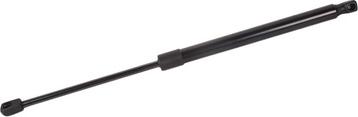 BAPMIC BF0113480067 - Gas Spring, boot, cargo area car-mod.net