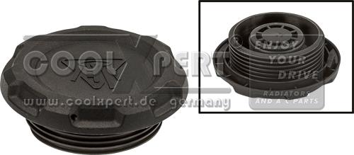 BBR Automotive 001-10-25918 - Sealing Cap, coolant tank car-mod.net