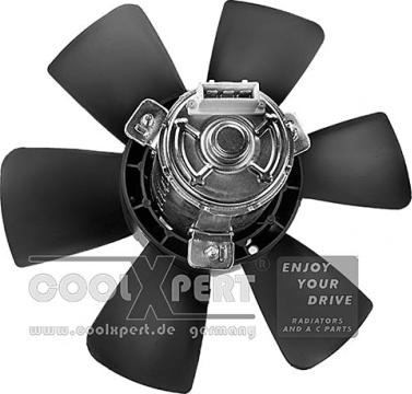BBR Automotive 002-60-00156 - Fan, radiator car-mod.net