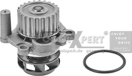 BBR Automotive 002-60-00161 - Water Pump car-mod.net