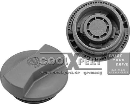 BBR Automotive 002-60-01041 - Sealing Cap, coolant tank car-mod.net