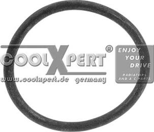 BBR Automotive 002-60-03838 - Gasket, coolant flange car-mod.net
