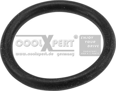 BBR Automotive 002-60-14325 - Seal Ring, radiator cap bolt car-mod.net