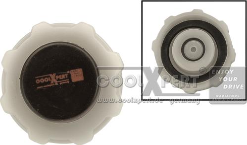 BBR Automotive 029-60-13460 - Sealing Cap, coolant tank car-mod.net