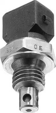 BorgWarner (BERU) ST036 - Sensor, intake air temperature car-mod.net