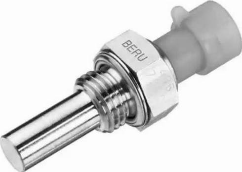 BorgWarner (BERU) ST025 - Coolant temperature Sensor car-mod.net