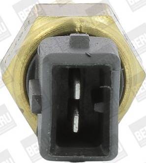 BorgWarner (BERU) ST256 - Coolant temperature Sensor car-mod.net