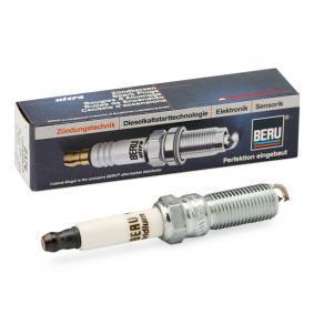 BorgWarner (BERU) Z376 - Spark Plug car-mod.net