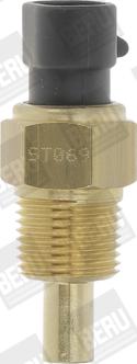 BERU by DRiV ST069 - Coolant temperature Sensor car-mod.net